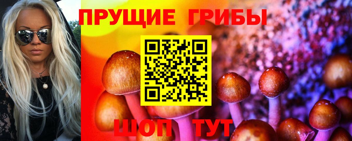 Ростов Великий  сколько стоит  Вход с VPN  Галлюциногенные грибы Cubensis  Галлюциногенные грибы Cubensis 